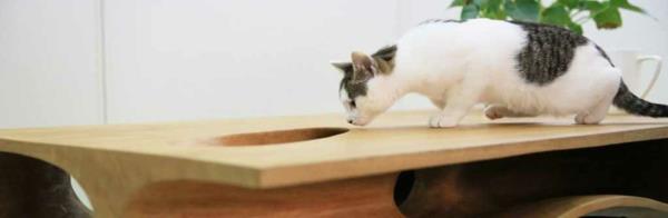 Ruan Hao CATable kissan suunnittelupöytä