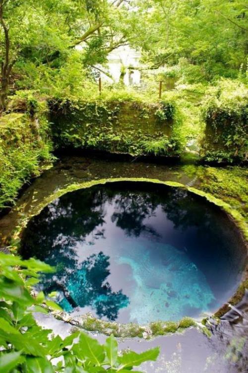 Pyöreät puutarha -altaat pyöreällä altaalla, joka on rakennettu maahan puutarhalammikkona, vehreää ympärillä