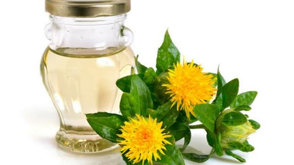 Saflori -kasvien kukat Safloriöljyn terveyshyödyt