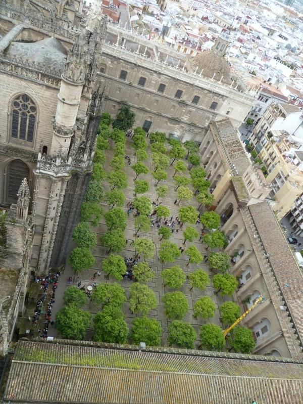 Santa Maria de la Sede sevillan katedraalin sisäpiha