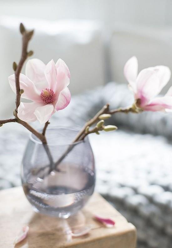 Kaunis koristeellinen magnolia -vaaleanpunaisten kukkien maljakko