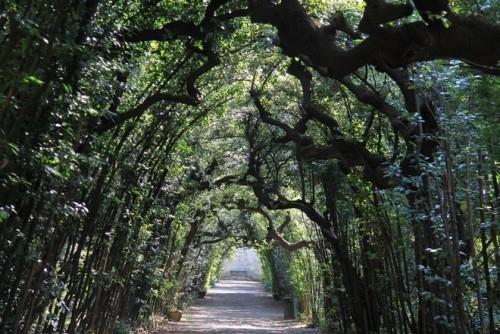 Kauneimmat piknikpaikat luonnon keskellä Boboli Gardens Firenze