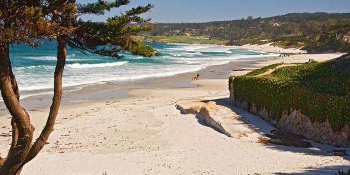 Maailman kauneimmat rannat Carmel Beach California