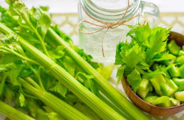 Sellerimehu vihreä selleri tikkuja erittäin terveitä täynnä vitamiineja mineraaleja super elementtejä