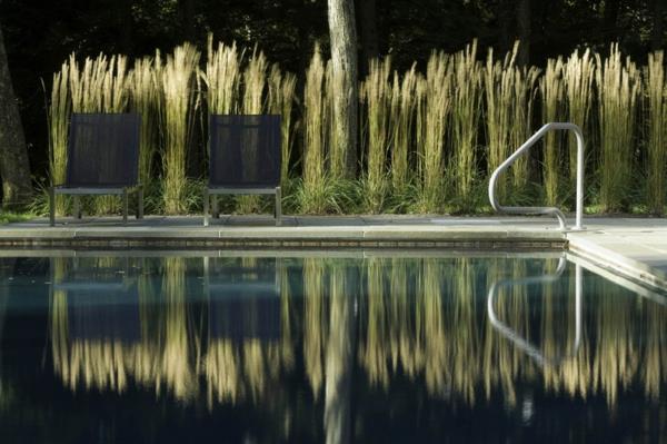 valaise uima -allas moderni yksityisyysnäyttö puutarhassa koristekasveja