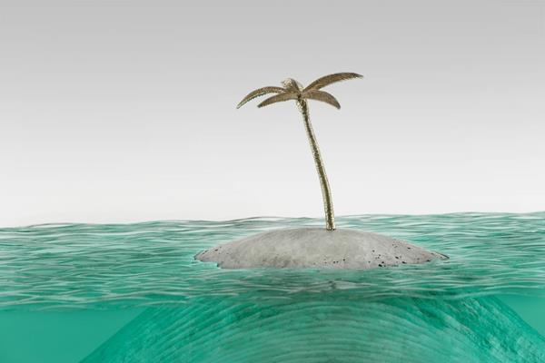 Lasiveistokset meri valtameri palmu