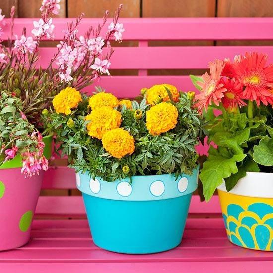 Kesäkukkien sisustusideoita keltaisia ​​kehäkukkia kauniita gerbera -värikkäitä ruukkuja penkillä