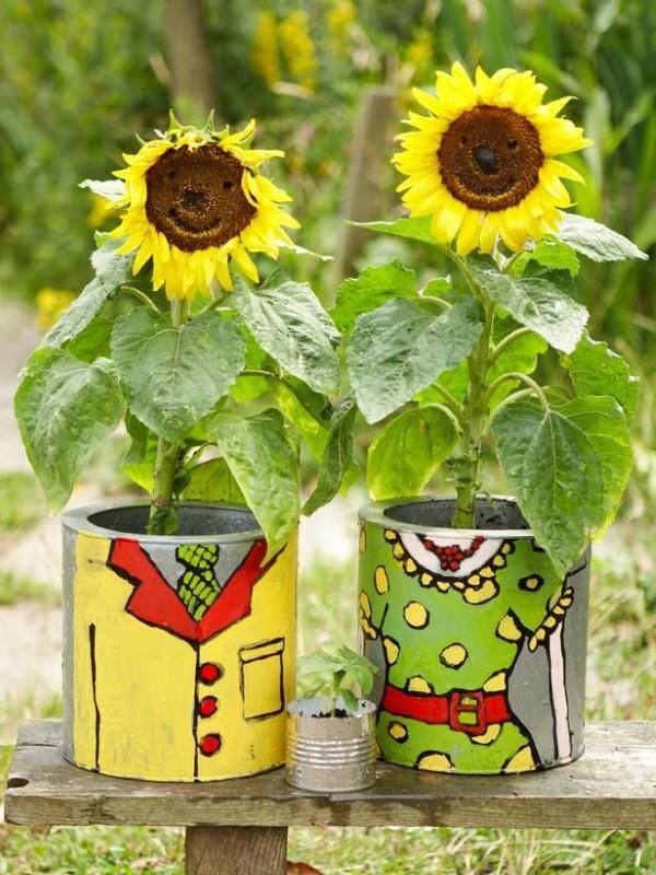Vinkkejä auringonkukan hoitoon ja mielenkiintoisia faktoja kesän koriste- ja hyödyllisistä kasveista alumiinipurkkien minilajikkeita