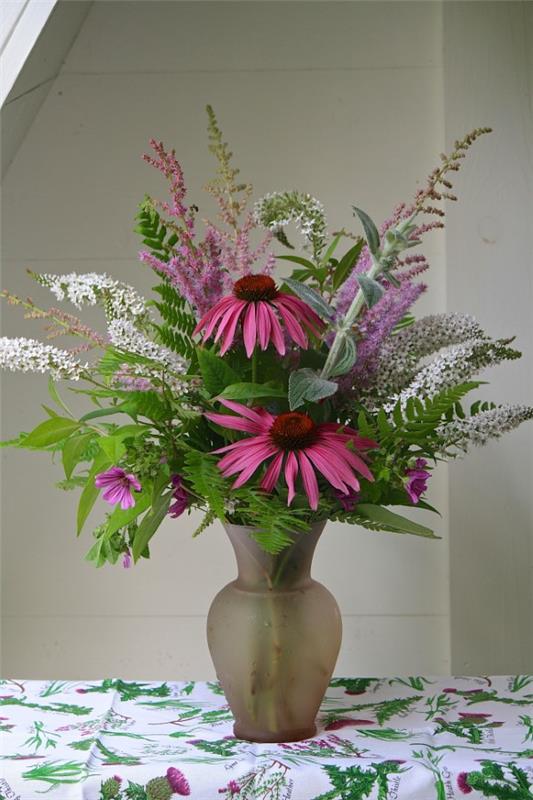 Coneflower -kasvi - kannattaa tietää ja hoitaa vinkkejä kesän kukinnan schnittblume -maljakkojärjestelystä