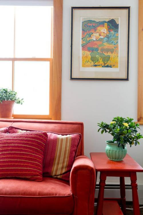 Taloudellinen sisustus kotona kuvia seinäkasvit sohva