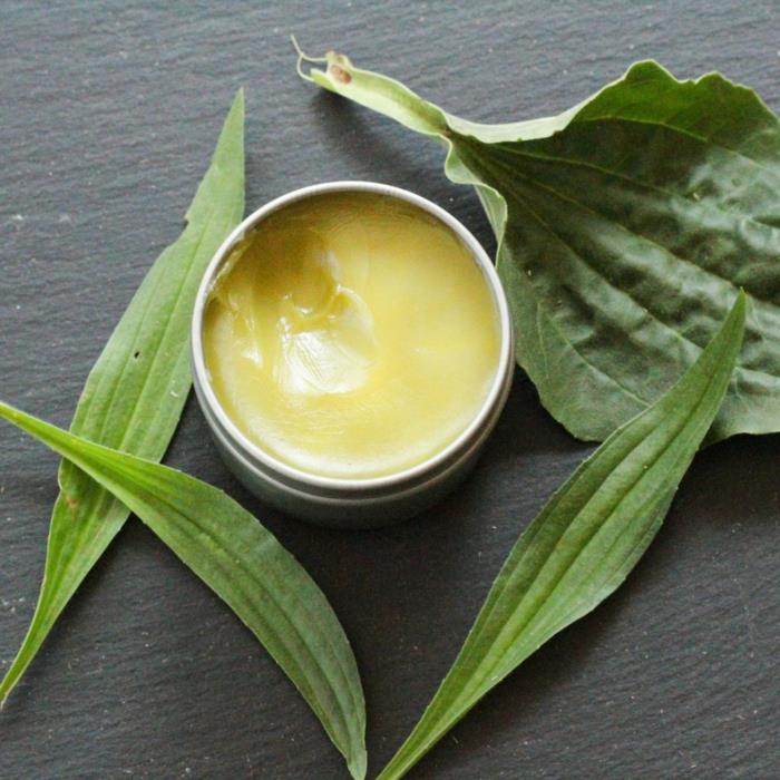 Plantain voide, tee tai yskisiirappi