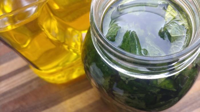 Ribwort plantain voiteen, teen tai yskäsiirapin valmistusohjeet