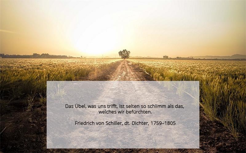 Sanontoja, jotka rohkaisevat saksalaisia ​​runoilijoita Friedrich Schilleriä