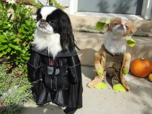 Tähtien sota koirille Darth Vader Yoda Ewok