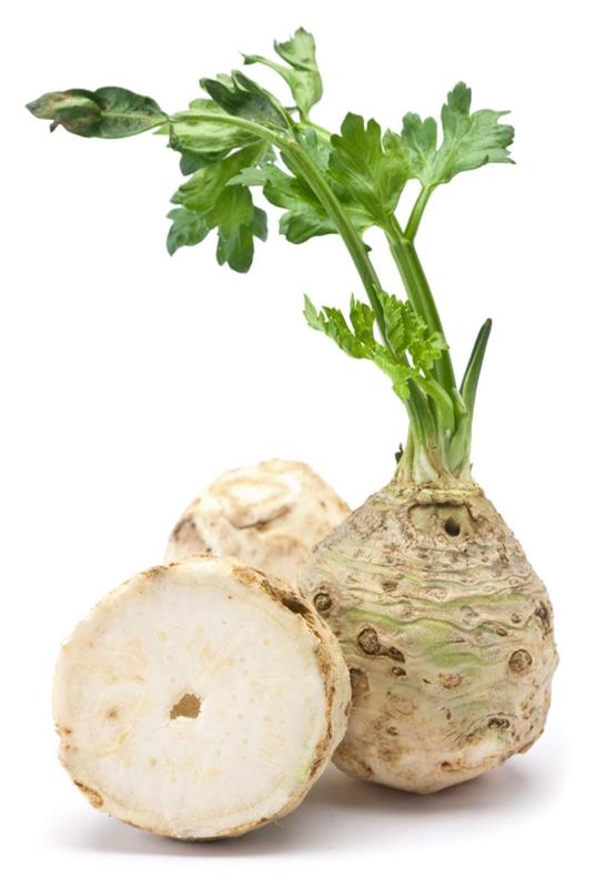 Selleri reseptejä
