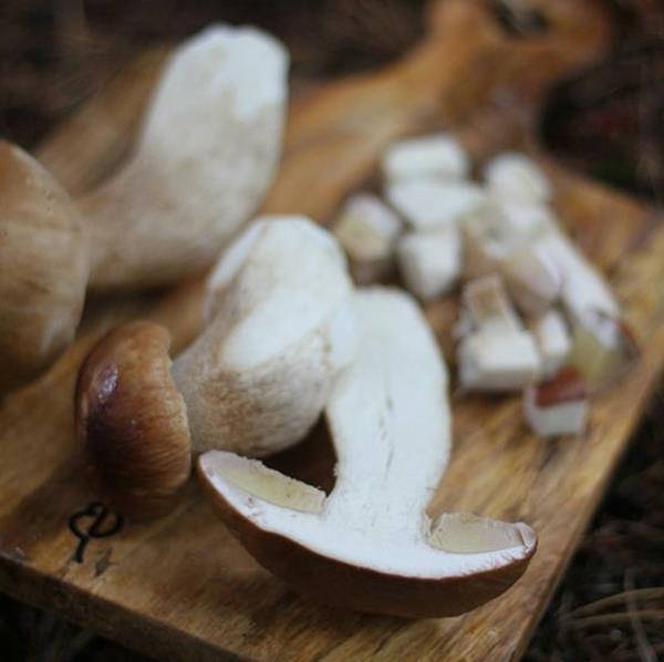 Valmista sian sienet Leikkaa sienet varret