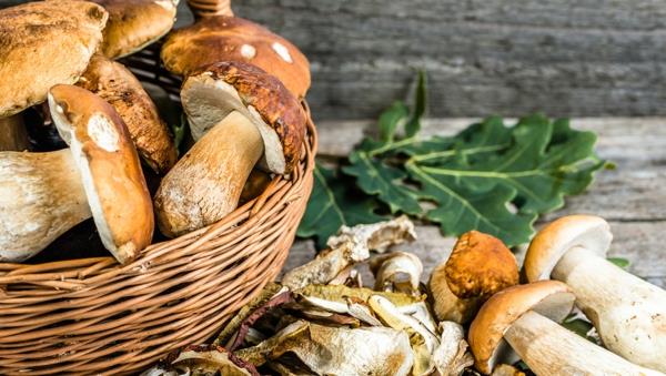 Porcini -sienet valmistavat reseptin ainekset