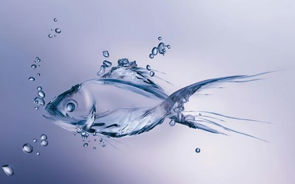 Kalat horoskooppi terveys ja ravitsemus vesi