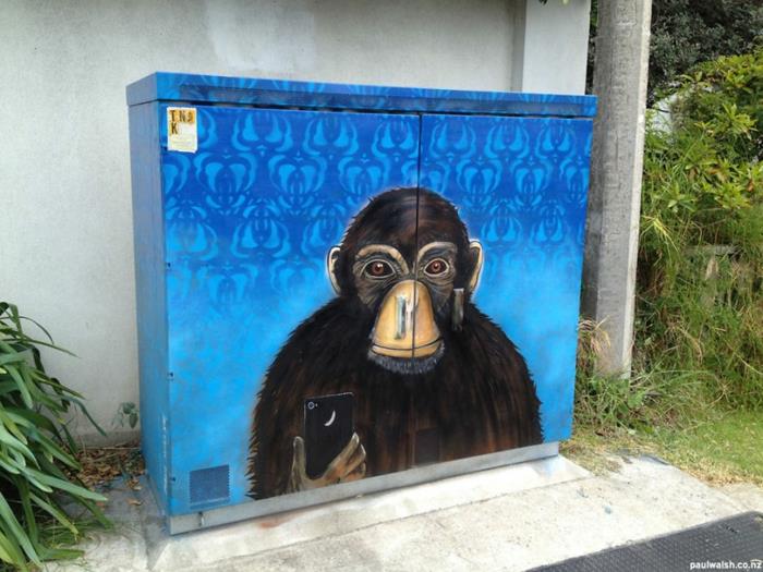 Katutaiteilija simpanssi -selfie
