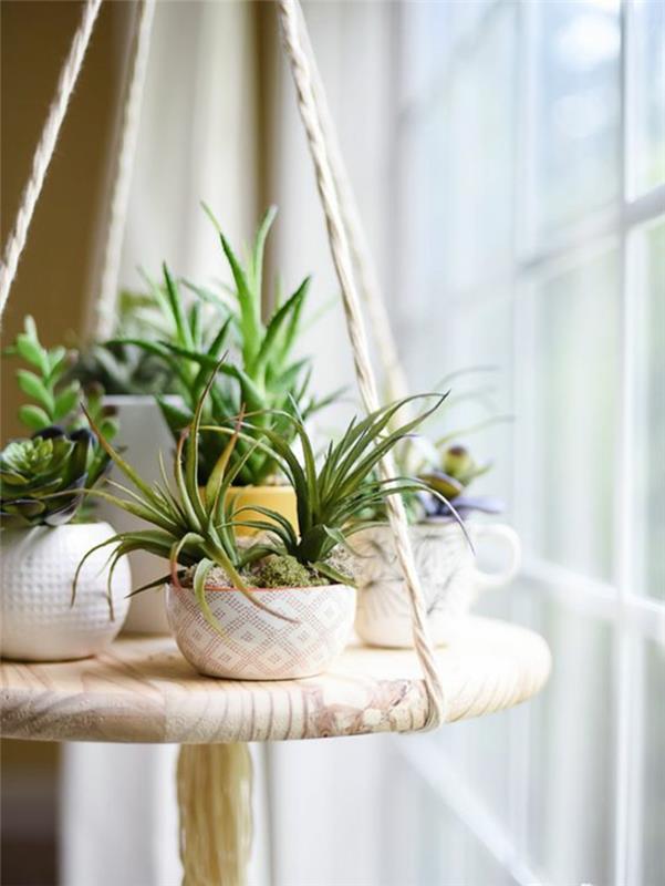 Mehikasvit hoito huonekasvit helppo hoito koristavat ikkunat