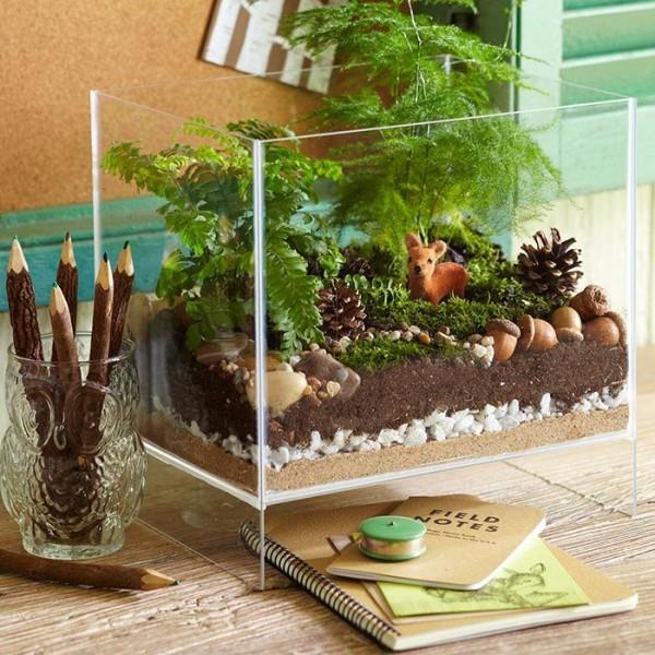 Terrarium sora pienet kivet läpäisevä perusta kasveille