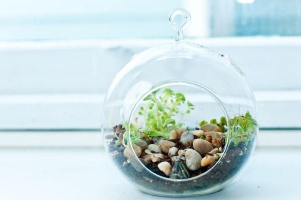 Terrarium -suunnittelu erittäin tyylikkäitä koruja sisustusideoissa