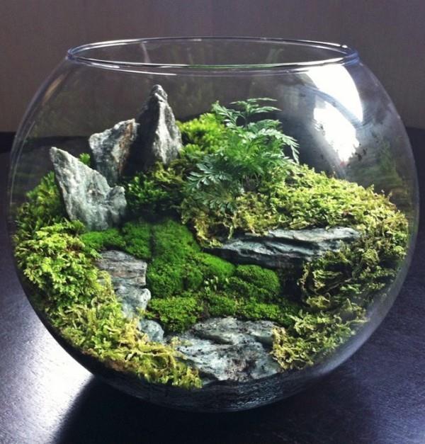 Terrarium tekee erittäin tyylikkäitä koruja sisätiloissa