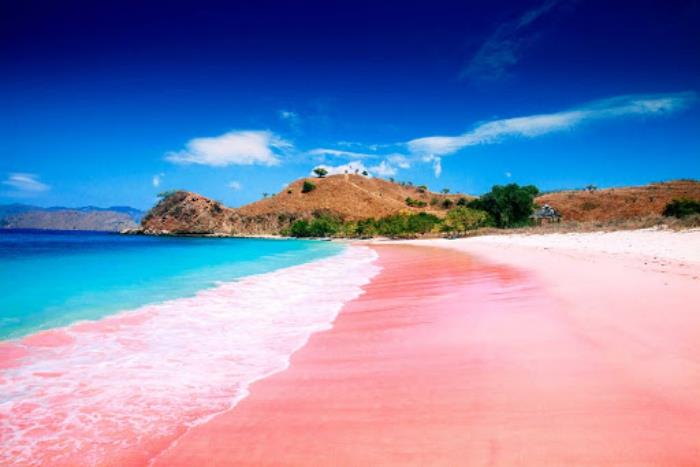 Maailman 5 kauneinta rantaa Pink Sand Beach Bahama ainutlaatuinen kauneus