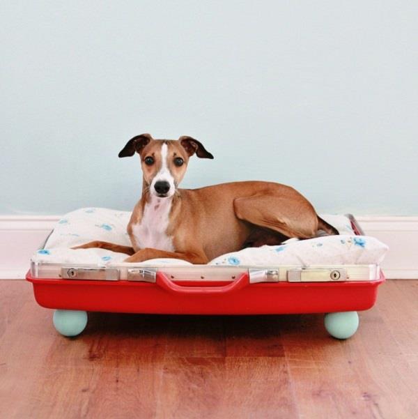 Trendikkäitä huonekaluja vanhoista matkalaukkuista tehdäksesi koiranpetin punaiseksi