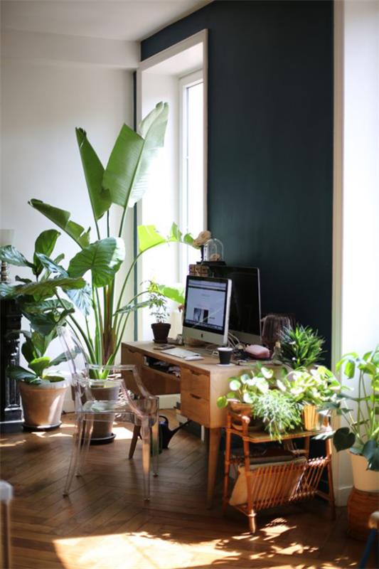 Trooppinen sisustus kotitoimiston viidakossa tunne monia vihreitä ruukkukasveja ikkuna pieni pöytä PC muovituoli