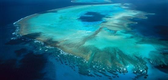 Vedenalaiset kaiuttimet voivat auttaa vaurioituneiden koralliriuttojen palauttamisessa