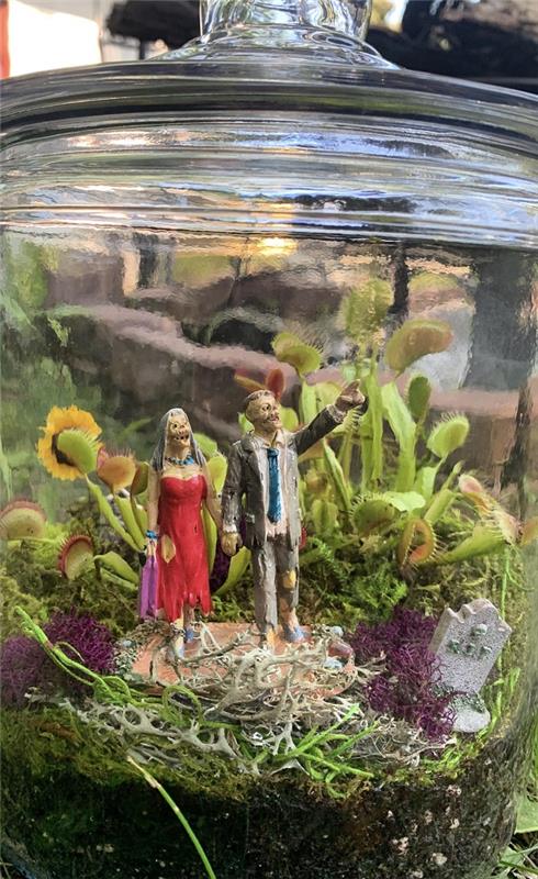 Venus Flytrap Care ja trivia harjoittavat eksoottista lihansyöjän hauskaa terrarium -zombien lasia