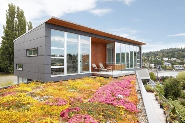 Paljon kukkia - idea moderneihin taloihin