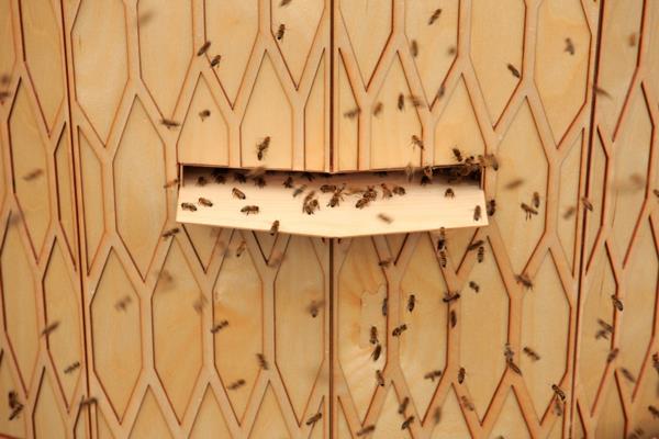 Tulivuoren mehiläispesän asennus oslo norjalaiset mehiläiset