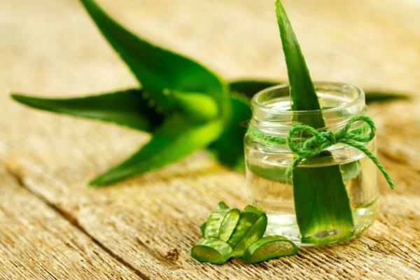 Mikä auttaa kutiavaa kutiavaa ihoa vastaan ​​Aloe Vera -lääkkeet