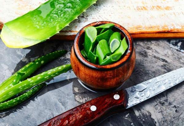 Mikä auttaa kutiavaa ihoa vastaan ​​aloe vera
