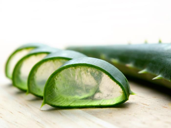 Mikä auttaa auringonpolttamia aloe vera -kasveja vastaan