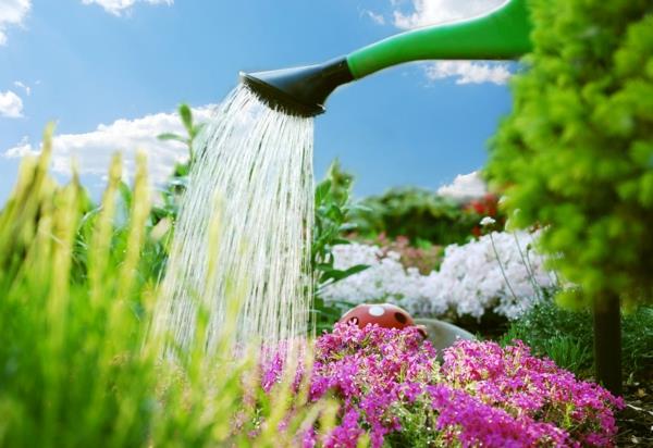 Säästä vettä vinkkejä kestävä elävä puutarhanhoito kukkien kastelu