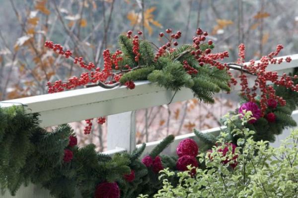 Joulukoristeita parvekkeen kuusen vihreiden mistelin marjoille sivustolla muita kestäviä kasveja ja kukkia