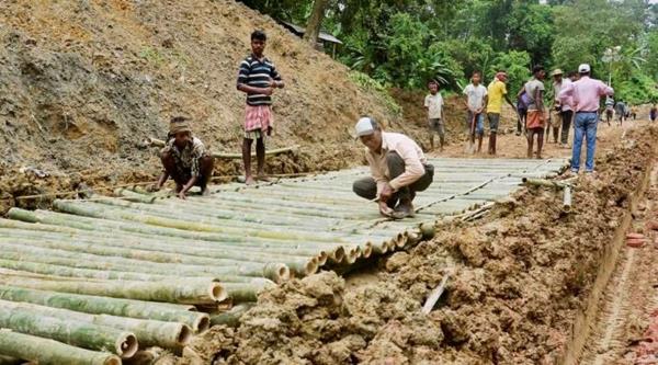 Kuinka nopeasti bambu kasvaa bambusilta