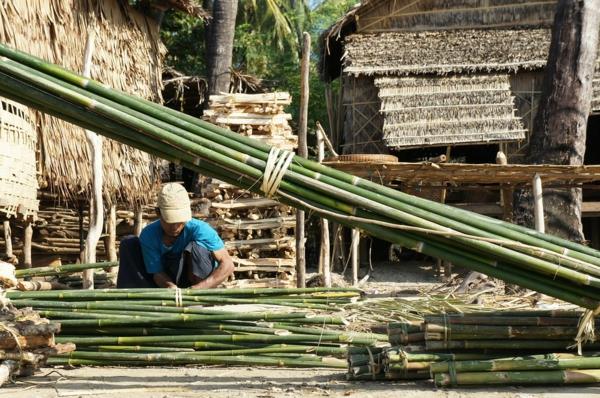 Kuinka nopeasti bambu kasvattaa bambumateriaalia