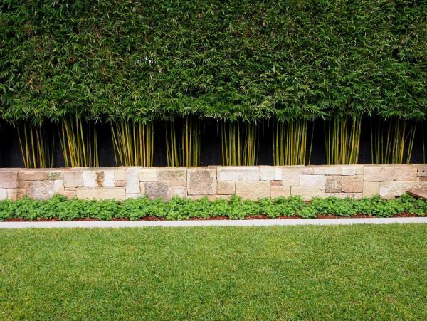 Niitty puutarha ideoita puutarha suunnittelu bambu suojaus