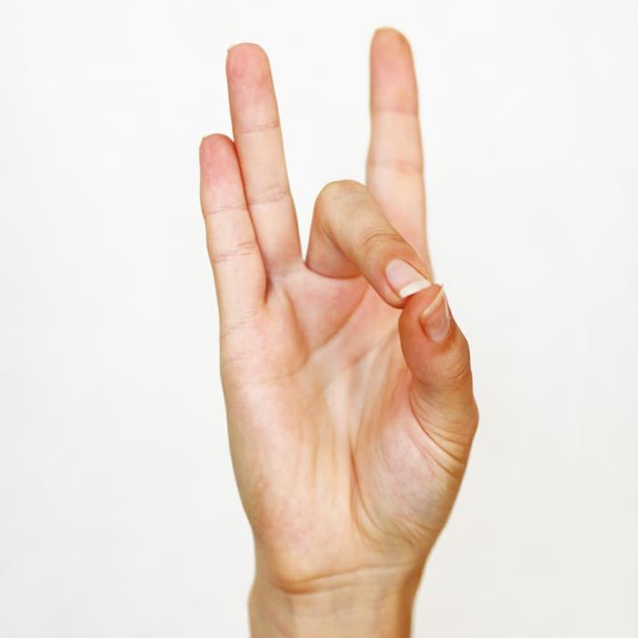 Jooga mudra sydänchakra mudra