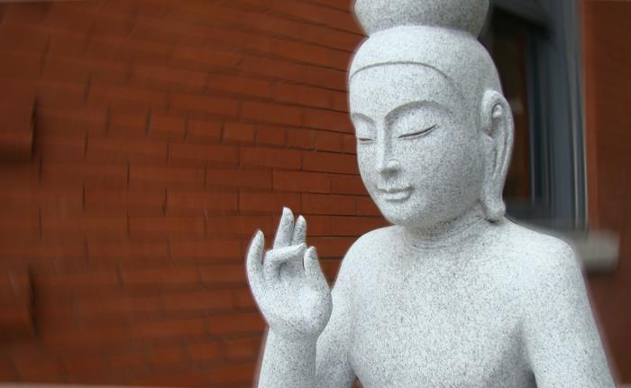 Jooga mudra prithvi mudra