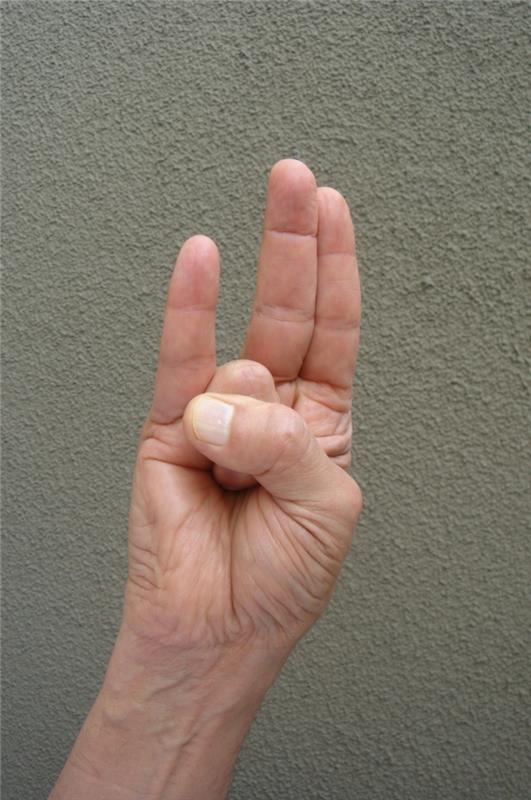 Jooga mudra sorya fire mudra