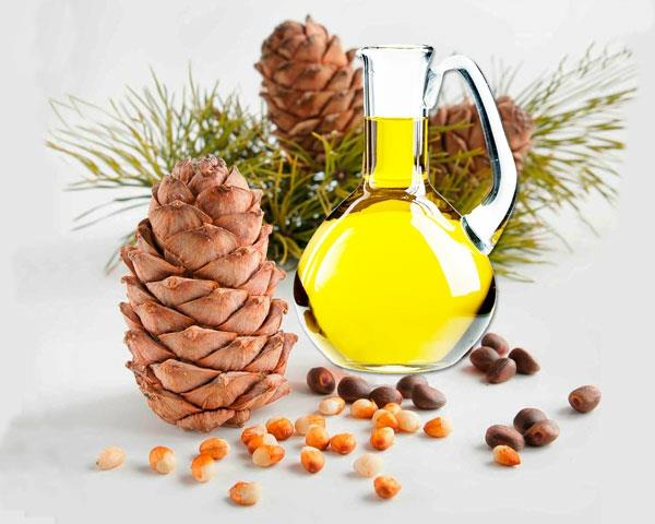 Cedar -ytimet terveitä Siperian setriöljyn ytimiä