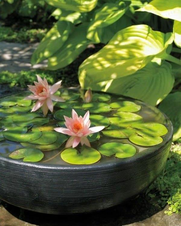Zen -puutarhan istutus japanilaisia ​​liljakasveja