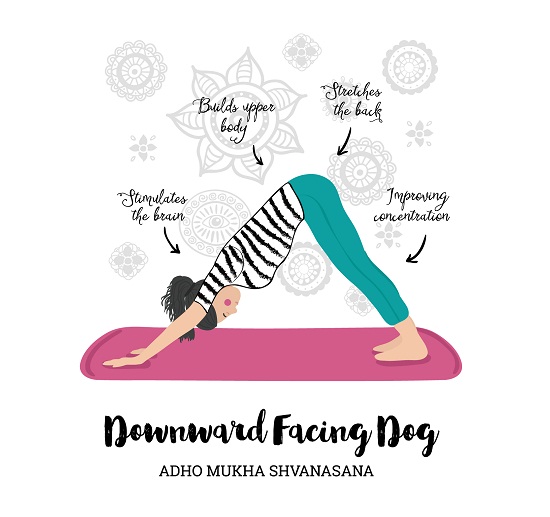 Adho Mukho Svanasana (nedadvendt hundestilling)