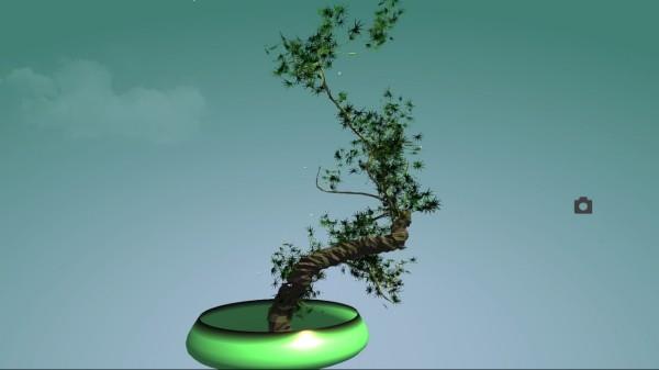 abstrakti taide bonsai puu