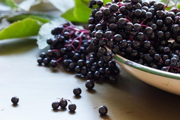 acai -marjoja